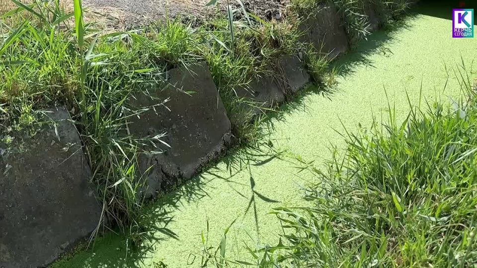        1-  