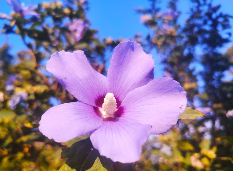 � ������ �����, �������!. ����� ��� ���� ����� ������������ � ���������� ������ ���������