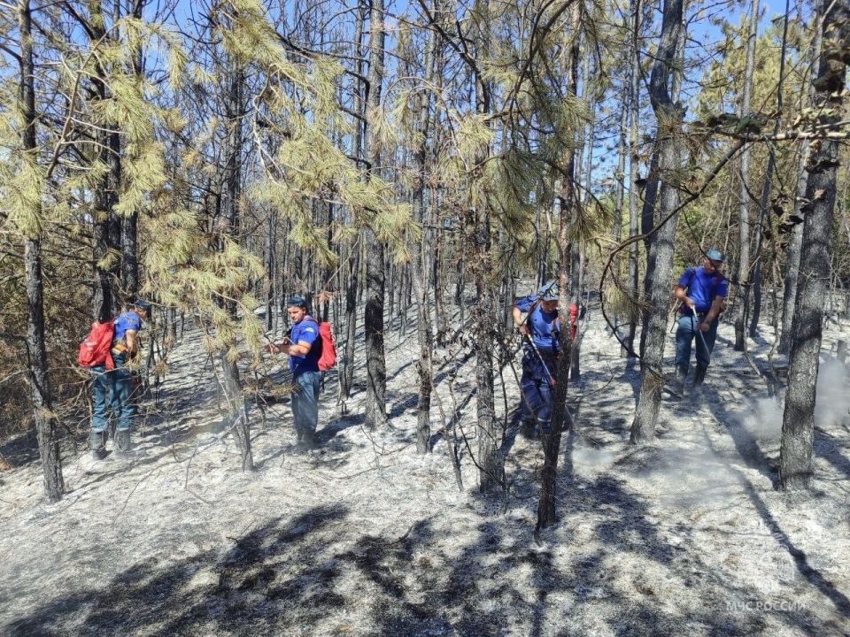 Более 60 возгораний с начала недели Более 60 возгораний с начала недели