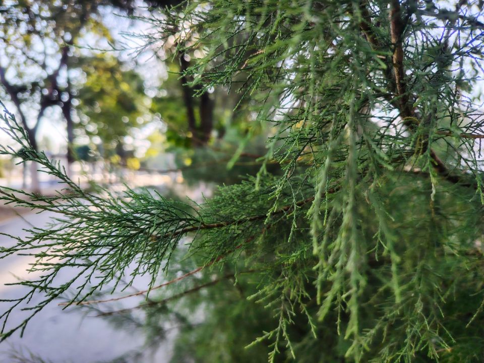 � ������ �����, �������!. ������ ��� ���������, ������� � ���������� ���, ���, ��������, �������� � ����������� ����������!