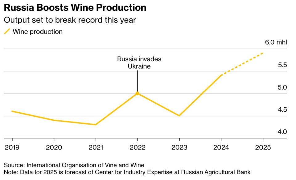  :            Bloomberg