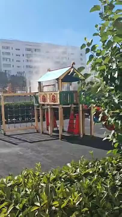         ,   ,       