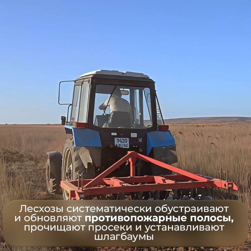 Ольга Шевцова: Крымский лес до 26 августа остаётся закрытым из-за пожарной опасности Ольга Шевцова: Крымский лес до 26 августа остаётся закрытым из-за пожарной опасности