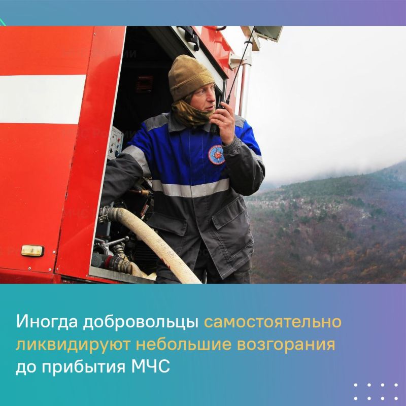 В этом году уже потушено около 2,5 тыс В этом году уже потушено около 2,5 тыс