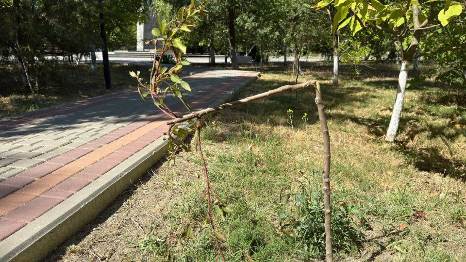 ����� ������: ��� ����� ������� �������? ��� �� ���, ��� ������� �� ������, � ���, ��� ����������� ������ ���, ����� ��� ������� � ���