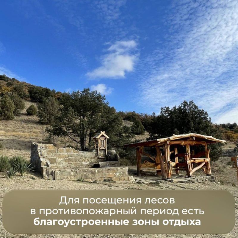 Запрет на посещение лесов в Крыму продлили до 26 августа в связи с пожарной опасностью Запрет на посещение лесов в Крыму продлили до 26 августа в связи с пожарной опасностью