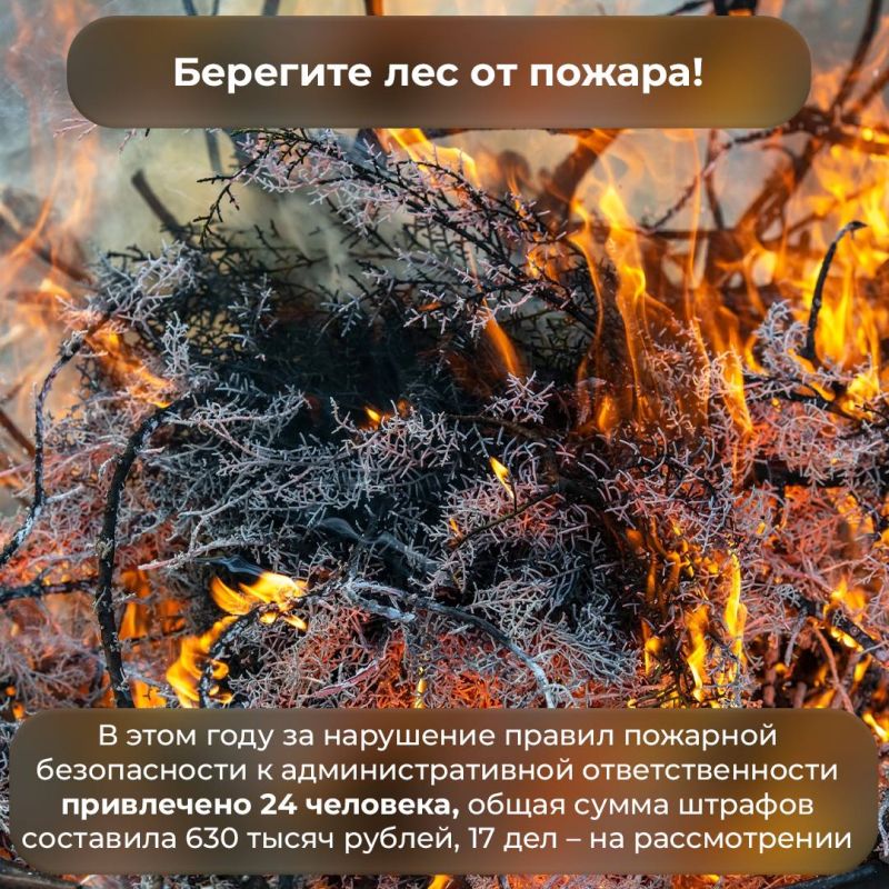 Запрет на посещение лесов в Крыму продлили до 26 августа в связи с пожарной опасностью Запрет на посещение лесов в Крыму продлили до 26 августа в связи с пожарной опасностью