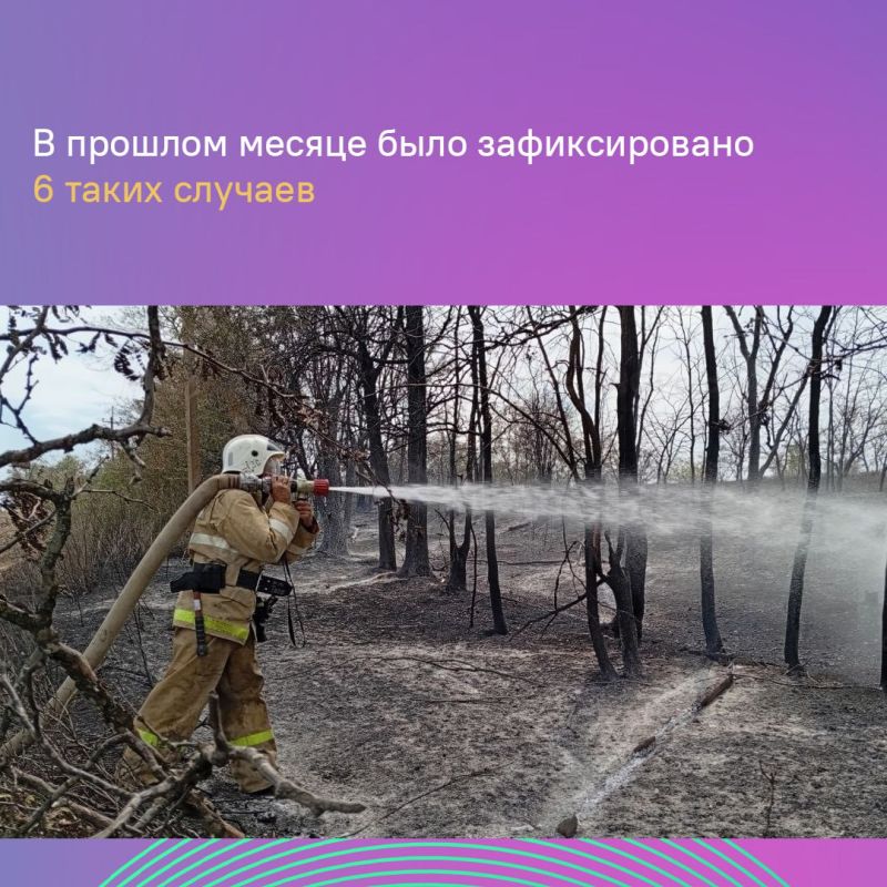 В этом году уже потушено около 2,5 тыс В этом году уже потушено около 2,5 тыс