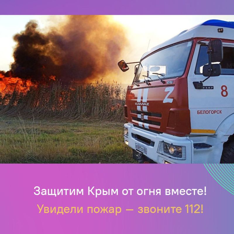 В этом году уже потушено около 2,5 тыс В этом году уже потушено около 2,5 тыс