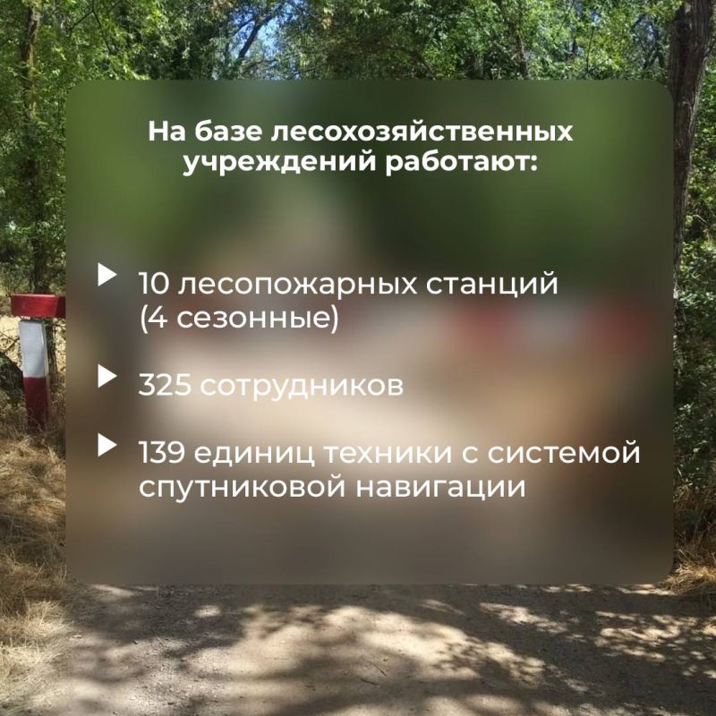 Запрет на посещение лесов в Крыму продлили до 26 августа в связи с пожарной опасностью Запрет на посещение лесов в Крыму продлили до 26 августа в связи с пожарной опасностью