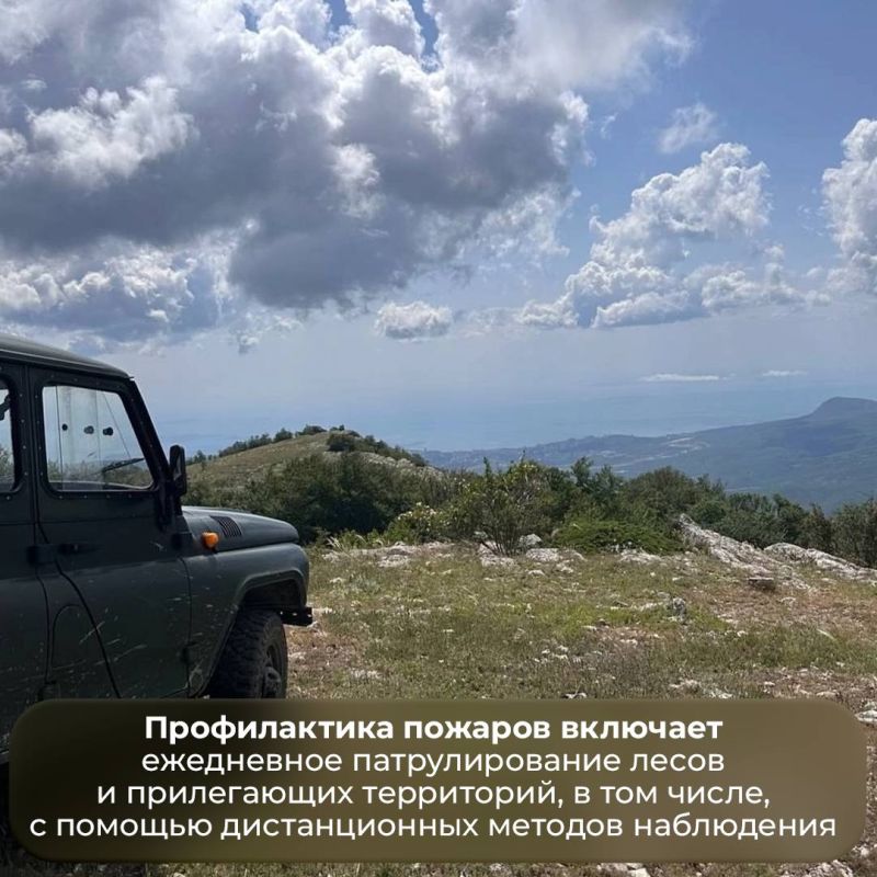 Ольга Шевцова: Крымский лес до 26 августа остаётся закрытым из-за пожарной опасности Ольга Шевцова: Крымский лес до 26 августа остаётся закрытым из-за пожарной опасности