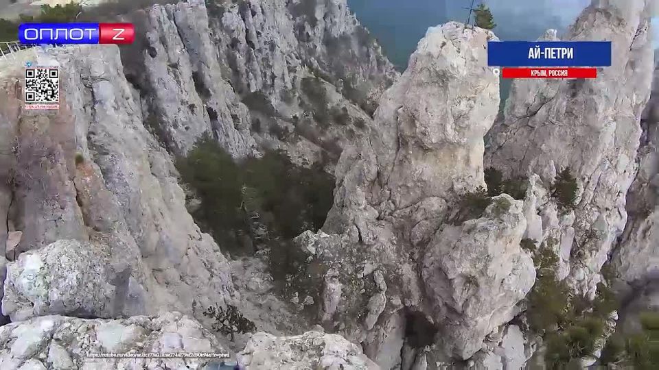 ��� ������. ���� ��-����� � ���� �� �������� ������ ������ �����