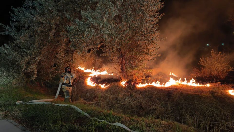 �� ����� ����� �� �������� ������