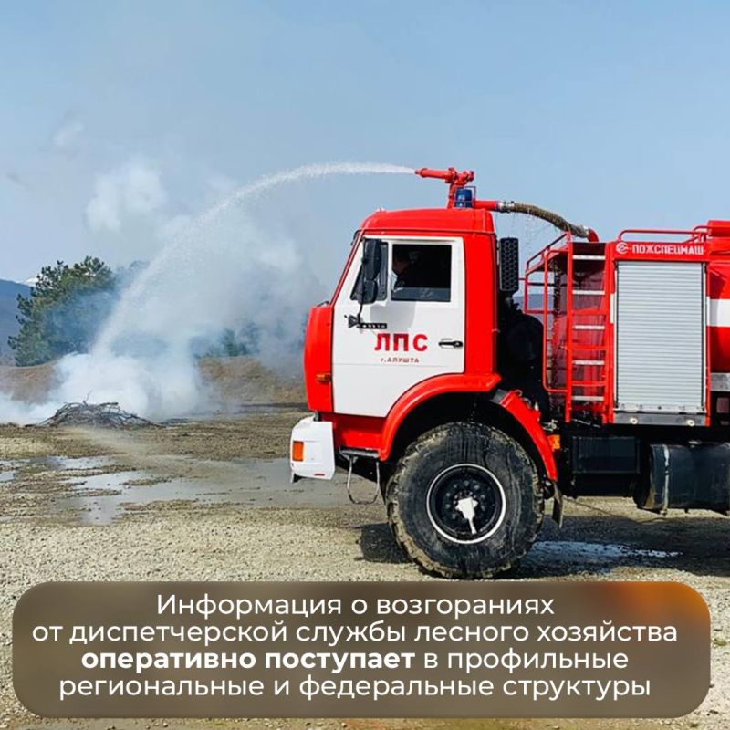 Запрет на посещение лесов в Крыму продлили до 26 августа в связи с пожарной опасностью Запрет на посещение лесов в Крыму продлили до 26 августа в связи с пожарной опасностью