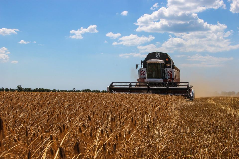 �������� ������� �������� ����������� ������� �� �������� ���� ����� �� ������� ������ �� �����