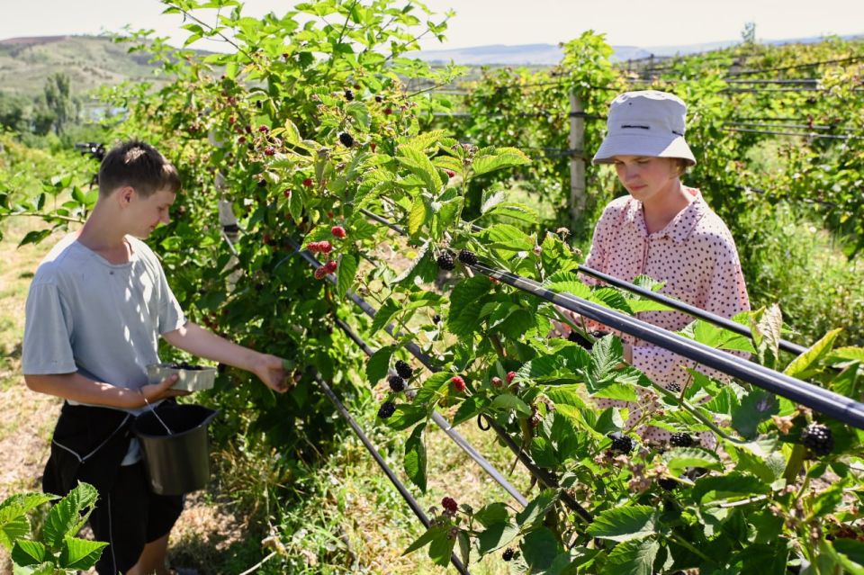 �������� ������� �������� ����������� ������� �� �������� ���� ����� �� ������� ������ �� �����