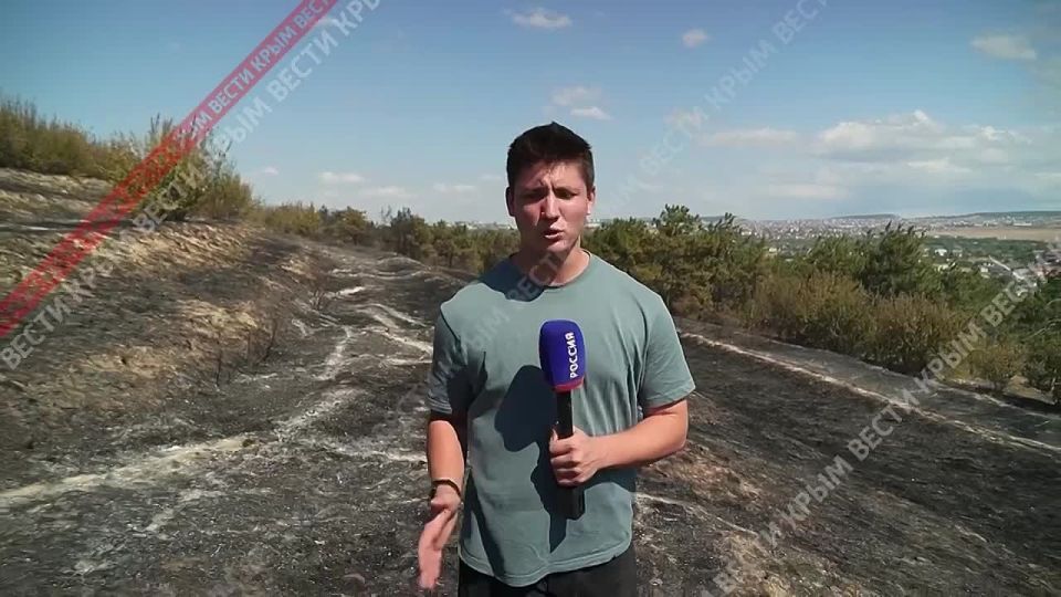 Обстановка на месте пожара в Симферопольском районе