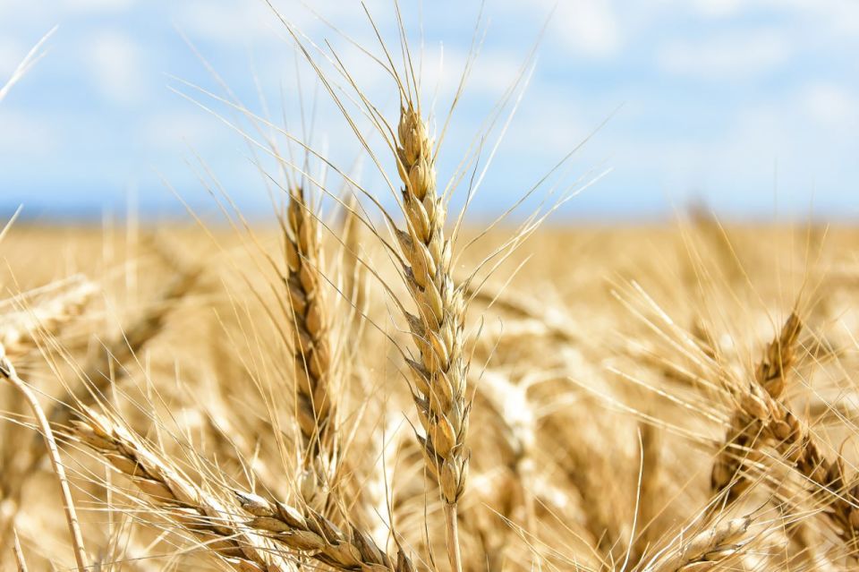 �������� ������� �������� ����������� ������� �� �������� ���� ����� �� ������� ������ �� �����