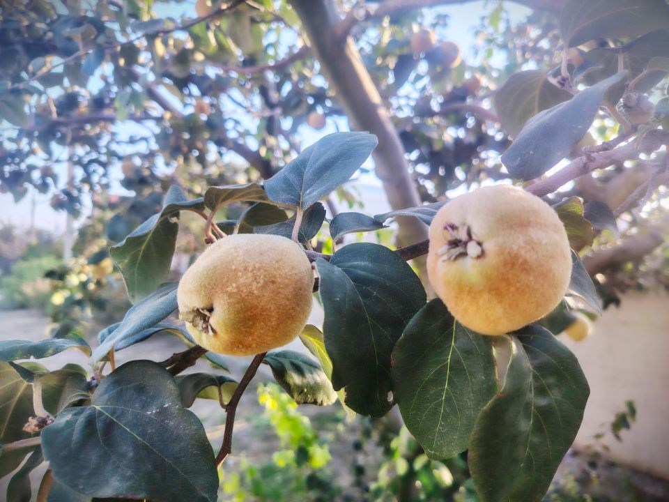 � ������ �����, �������!. ����� ��� ���� ���������� ��������, �����������, ������������