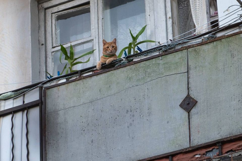 Михаил Развожаев: Накануне вечером в Гагаринском муниципальном округе встретился с жителями домов на улицах Ерошенко, Дмитрия Ульянова и проспекте Юрия Гагарина Михаил Развожаев: Накануне вечером в Гагаринском муниципальном округе встретился с жителями домов на улицах Ерошенко, Дмитрия Ульянова и проспекте Юрия Гагарина