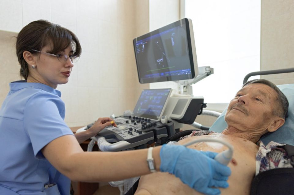 � �������� ������������� ��������� 133 ������� ������������ ��� ������������