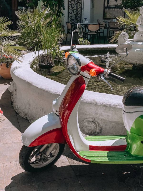 #gasitsa_photo. ������ ���������� ����