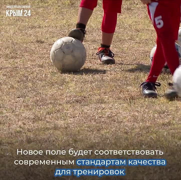 � ���� ���������� ���������� ������ ������������ ��������������� ����������� ����