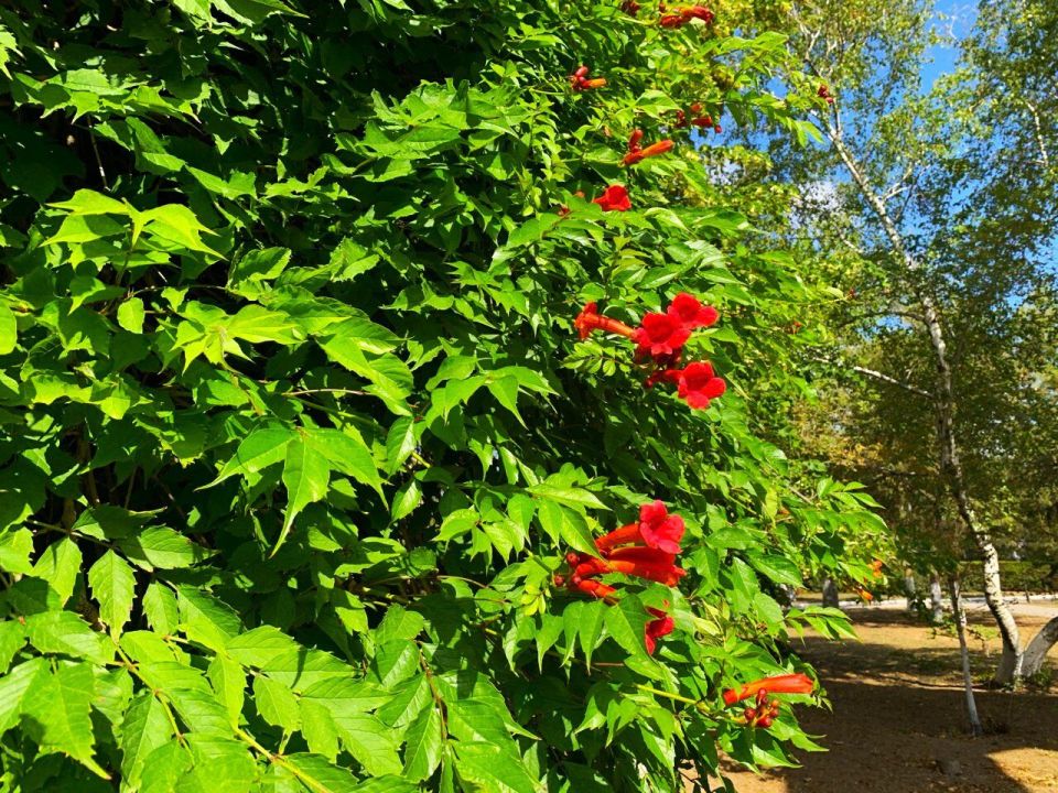 � ������ �����, �������!. ������� � ���������� ����, ���� � ������� ������ �������� ����� ���� �������! ��� ������ �� ��� ���� �� ��� ��� ��� � ����������� ���������� ����� �� ����������� ������� � �����������