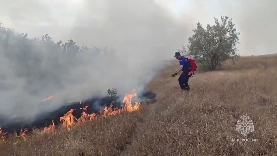 ��� ������ �������� �� ���� ���� �����