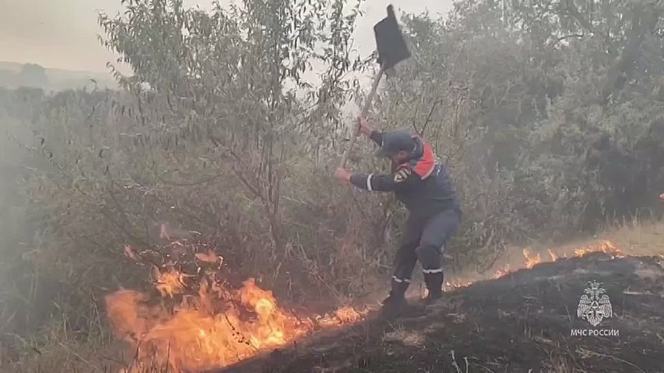 � ����� ��� ���� ������� �� ������������ ������