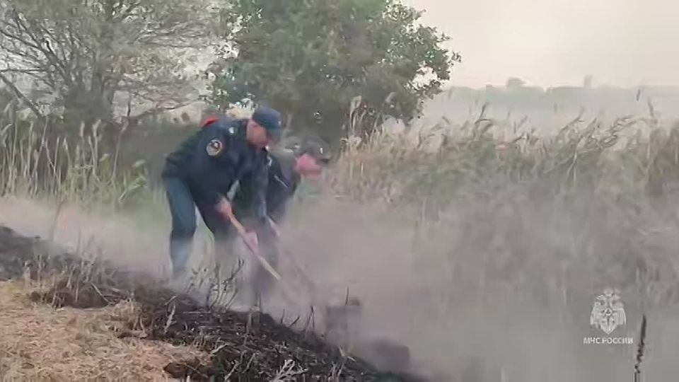 ����������� ����� ��� �������� �������� � ����������� ������� � ��������� � ����������� ������� �����