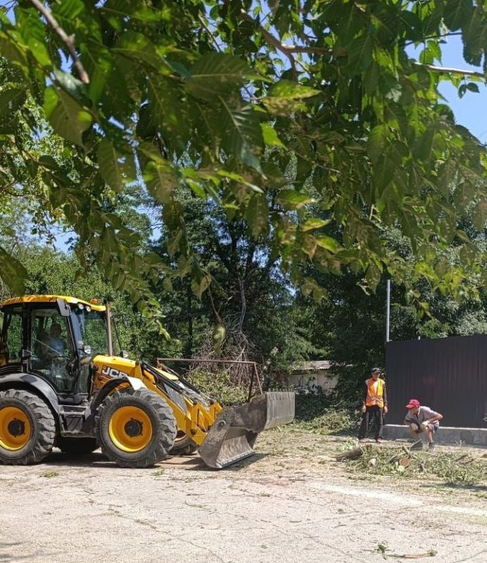 Продолжается работа по вывозу спиленных веток Продолжается работа по вывозу спиленных веток