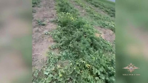  :             