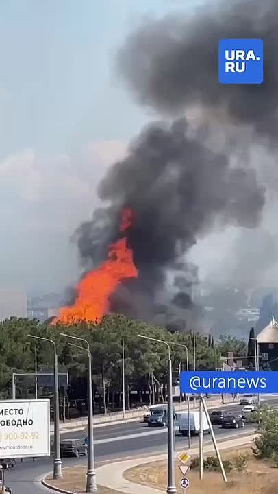    :     