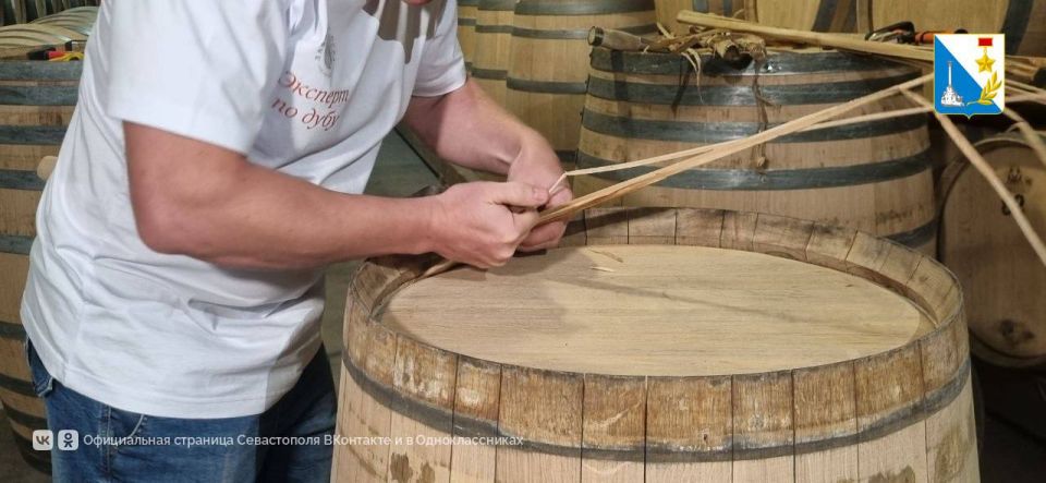 «Лаборатория дуба» открылась в Севастополе «Лаборатория дуба» открылась в Севастополе