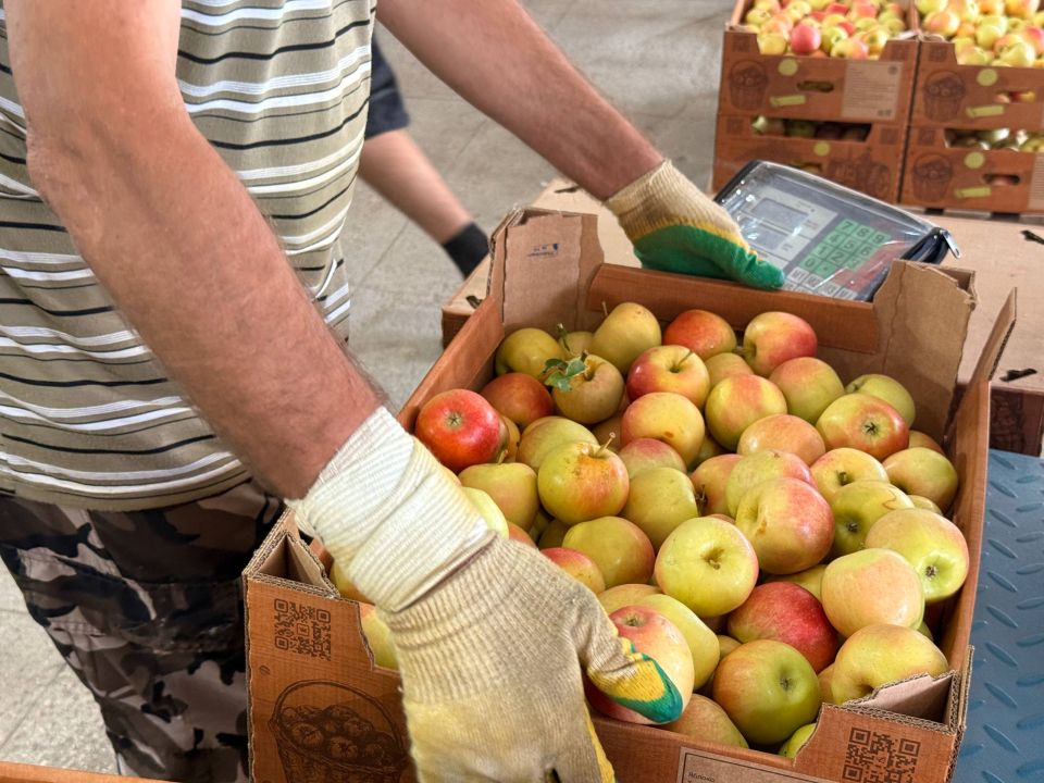 ����������� �������� ��������� ��������� ���������� ���� ������� ������� � ������� ������� ������� ���� �� ������� ������������� ����������� ������������� ������ � �� �������