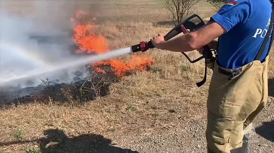 � ����������������� ������ �������� 250 "���������" ��������