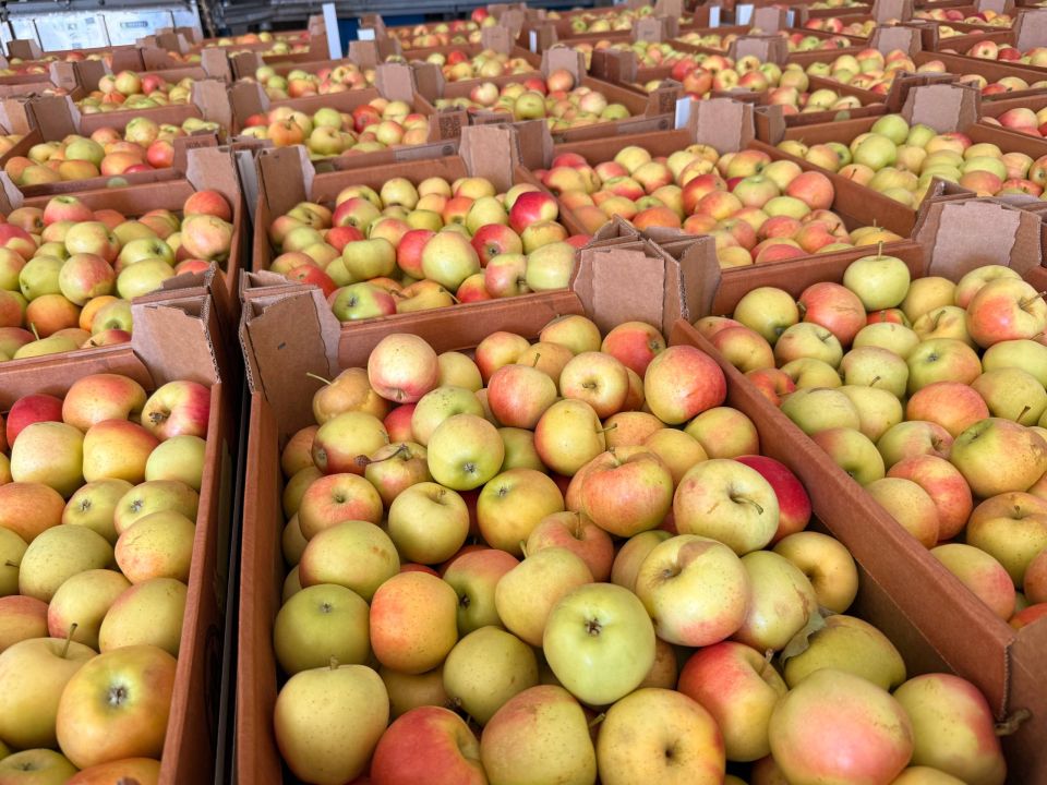 ����������� �������� ��������� ��������� ���������� ���� ������� ������� � ������� ������� ������� ���� �� ������� ������������� ����������� ������������� ������ � �� �������