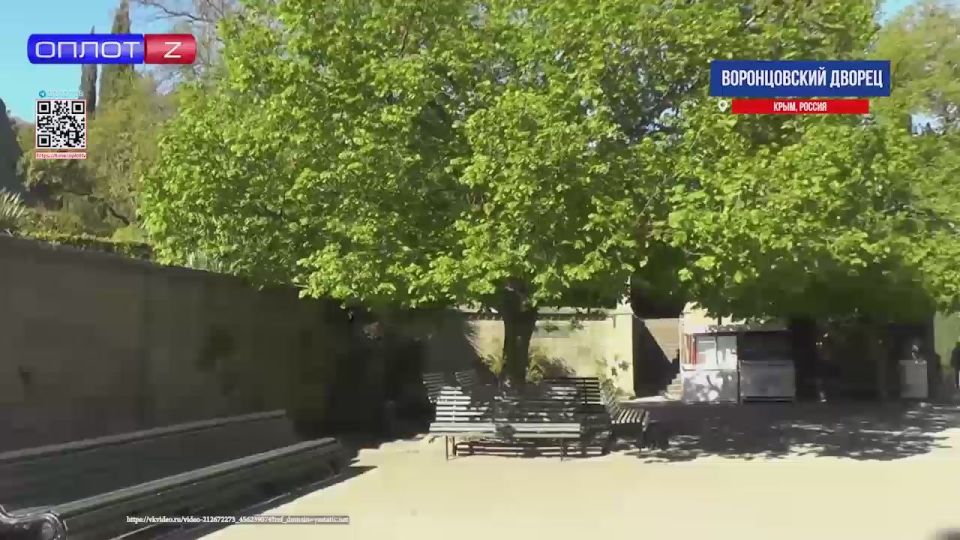 ��� ������. ������������ ������