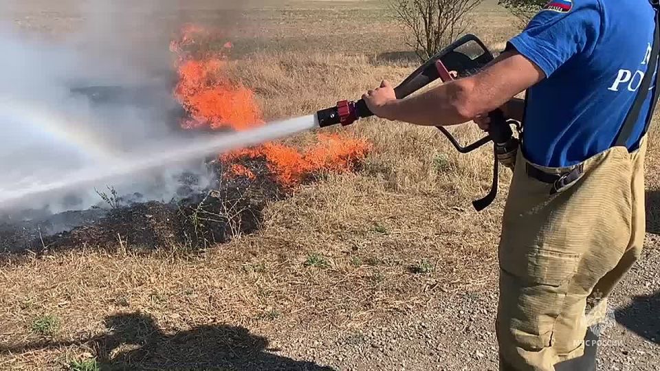 � ����������������� ������ ����� �������� �� ������� 250 �