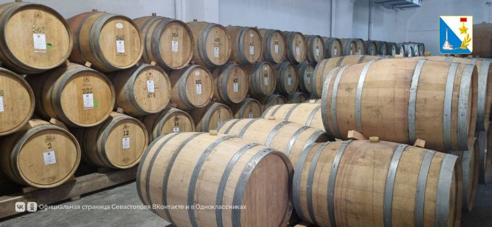 «Лаборатория дуба» открылась в Севастополе «Лаборатория дуба» открылась в Севастополе