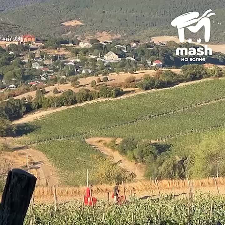        ,         