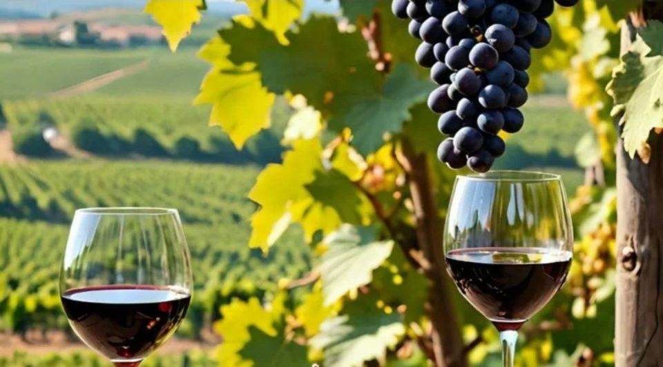 ������� ��������� ������������� � ��������! ���������� ��� � ���������������� ����������!