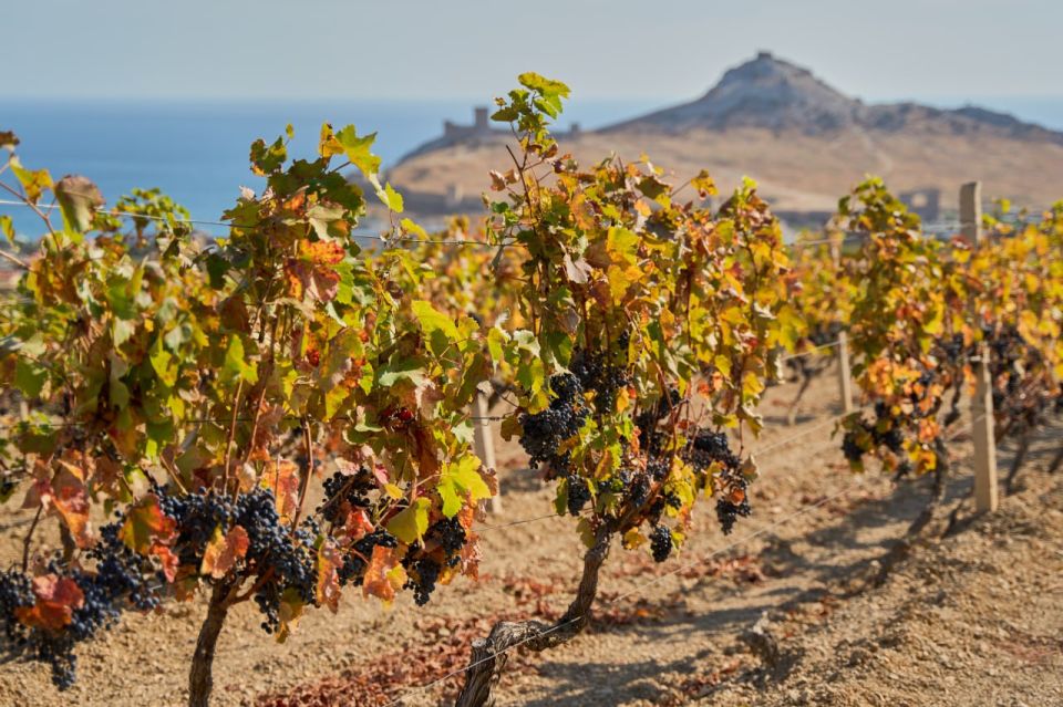  :  .       ,        ,   180-       , ...