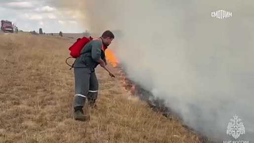         -      250 