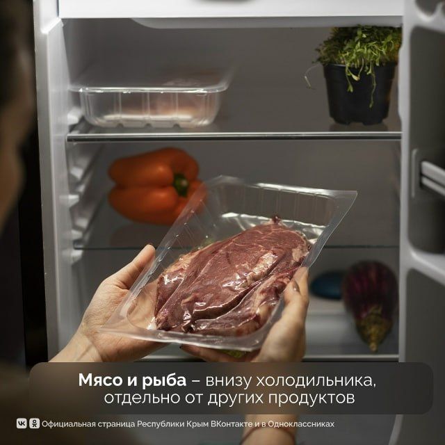 Как правильно хранить продукты питания Как правильно хранить продукты питания