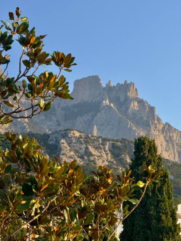 ������ ��� �� ������� ��-����� �� ������� ������