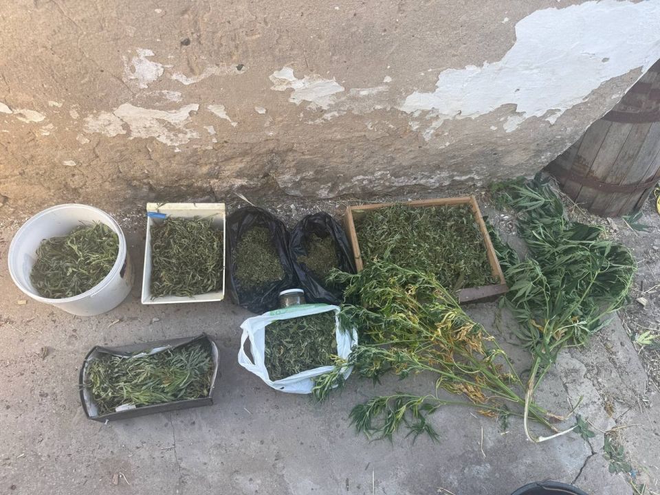 Свыше 90 кустов конопли и почти 5 кг марихуаны изъяли полицейские у жителя Бахчисарайского района Свыше 90 кустов конопли и почти 5 кг марихуаны изъяли полицейские у жителя Бахчисарайского района