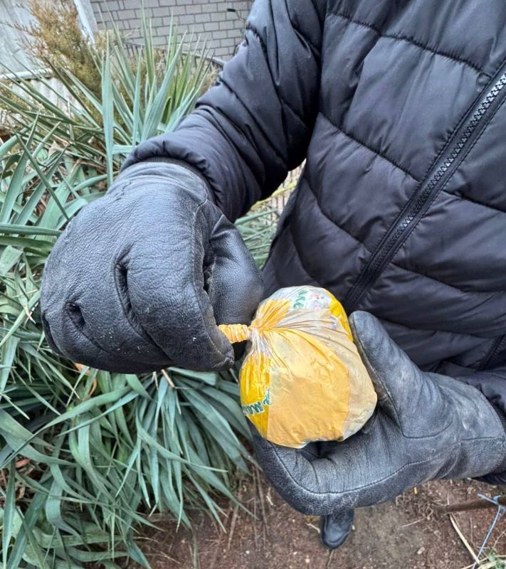 ������ ������������������ ������ ���������� � ������� �� ���� ���������