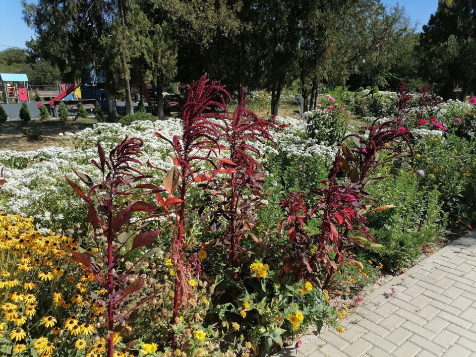 �������� �������: � ������� ������� �������� ���������� ������ ������������ ������